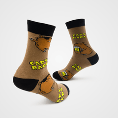 par-de-meia-style-capybara-hoahi